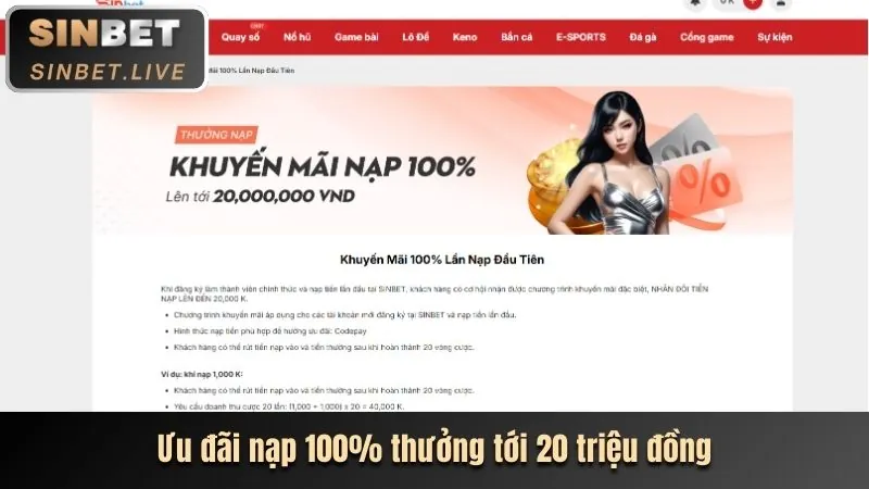 Cookie quảng cáo hiển thị khuyến mãi Biz88 Đăng Nhập
